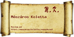 Mészáros Koletta névjegykártya